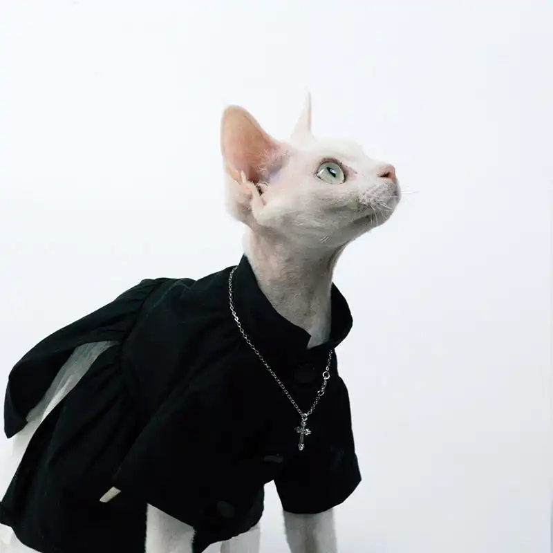 Dark Style Dress for Cat