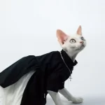 Dark Style Dress for Cat