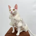 Deerskin Sherpa Coat for Cat