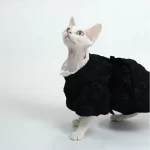 Hepburn Style Dress for Hairless Cat