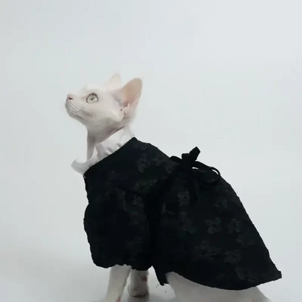 Robe style Hepburn pour chat sans poils