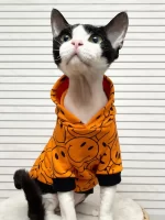 Orange Smiley Face Hoodies for Cats