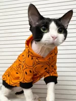 Orange Smiley Face Hoodies for Cats