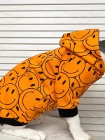 Orange Smiley Face Hoodies for Cats