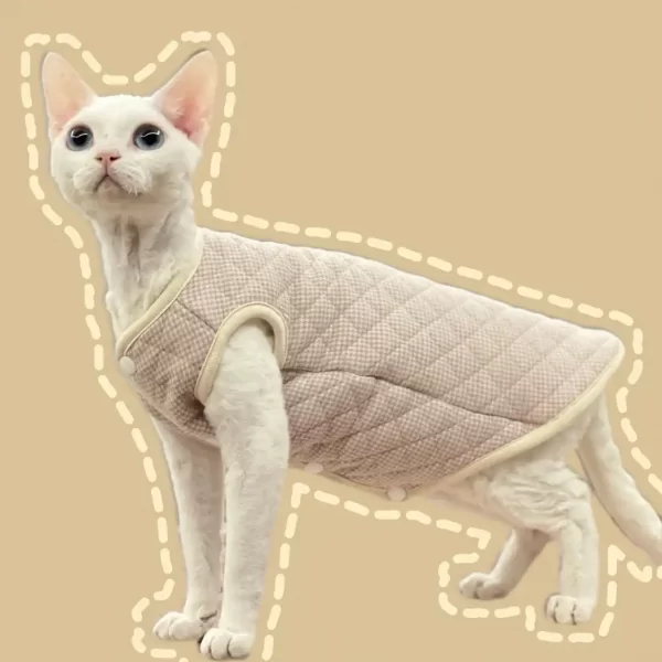 Padded Vest for Hairless Cat