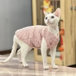 Padded Vest for Hairless Cat