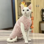 Padded Vest for Hairless Cat