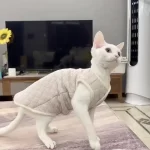 Padded Vest for Hairless Cat