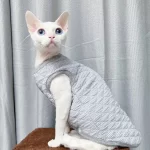 Padded Vest for Hairless Cat