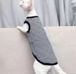Padded Vest for Hairless Cat