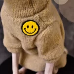 Smiley Face Sweater for Cat