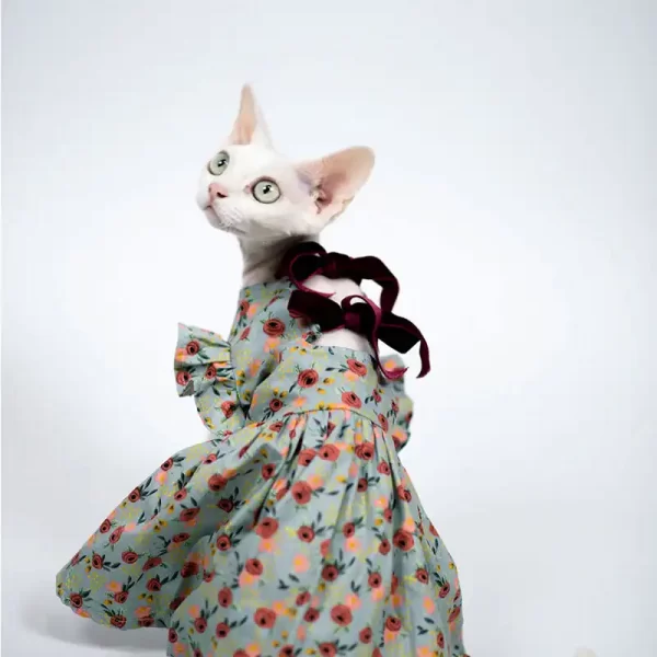 Strappy Backless Dress for Sphynx