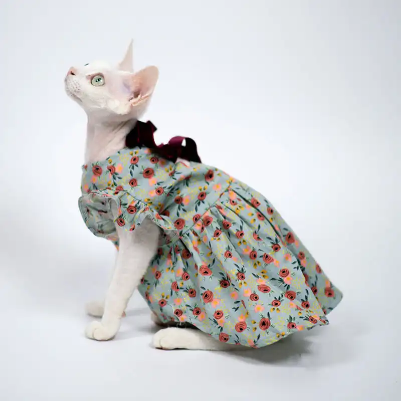 Strappy Backless Dress for Sphynx