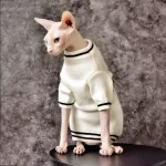 Trendy White Dior Sweater for Sphynx