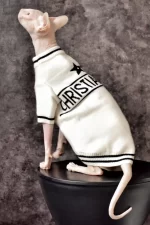 Trendy White Dior Sweater for Sphynx