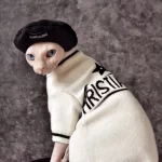 Trendy White Dior Sweater for Sphynx