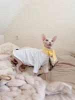 Bottoming T-shirt for Hairless Cat Pure Cotton, Hypoallergenic