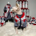 Budweiser Set for Sphynx