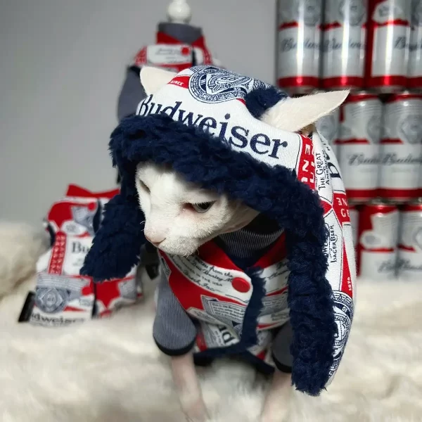 Budweiser Set for Sphynx