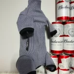 Budweiser Set for Sphynx