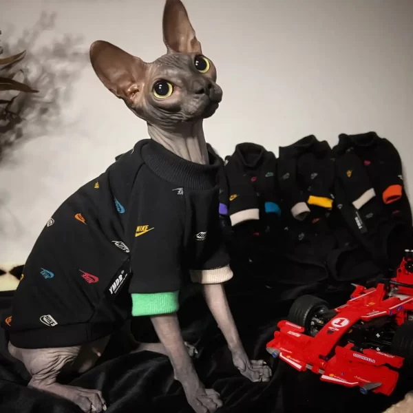 猫用カラフルNIKEアイコンTシャツ｜スフィンクス用デザイナーズ衣装