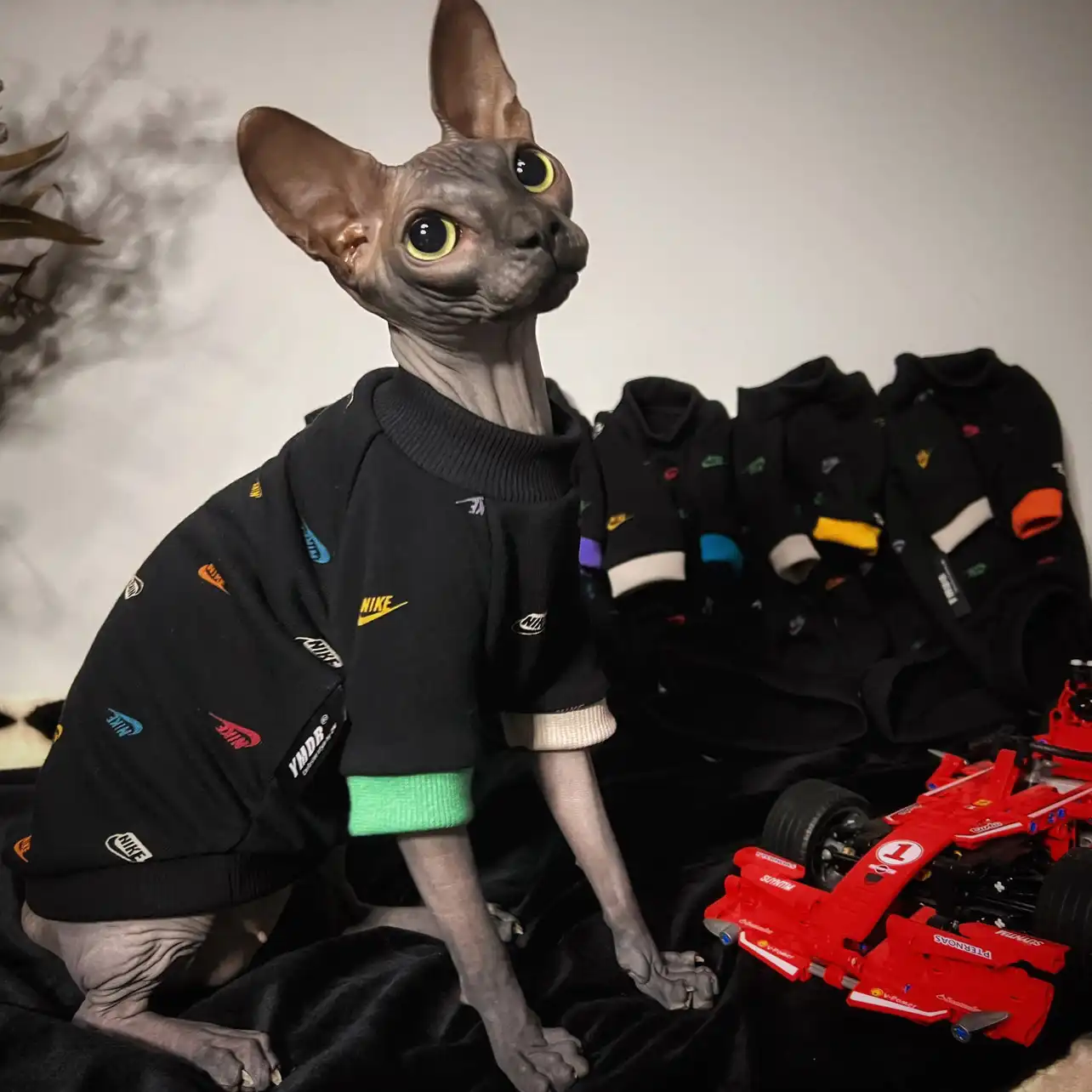 Colorful NIKE icon T-shirt for Cat | Designer Outfit for Sphynx