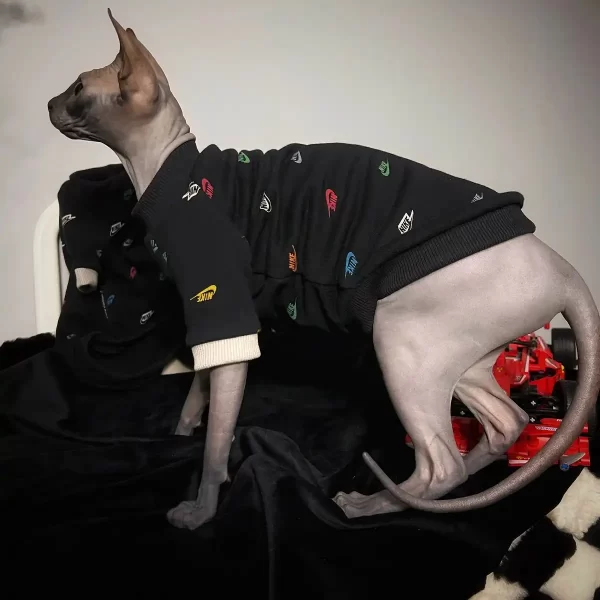 Colorful NIKE icon T-shirt for Cat | Designer Outfit for Sphynx