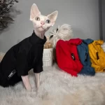 LV Icon Silk Bottoming Shirt for Cat