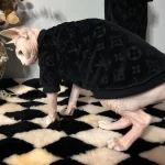 LV Icon Silk Bottoming Shirt for Cat