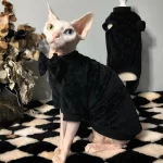 LV Icon Silk Bottoming Shirt for Cat