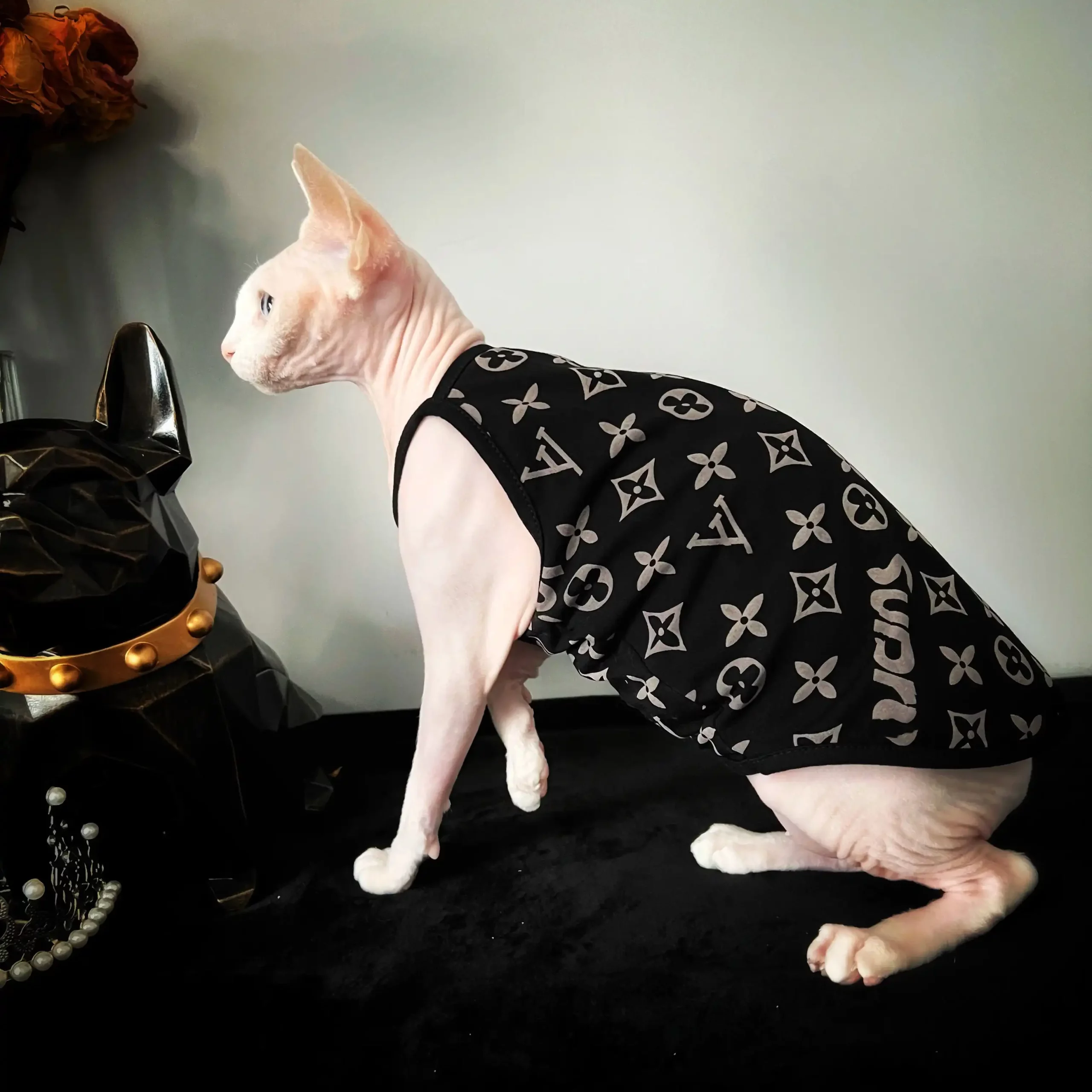 Colorful Louis Vuitton Tank Tops for Cats · YESWARMG