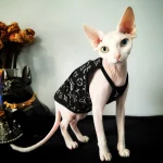 Black Classic LV Camisole Tank Top for Sphynx