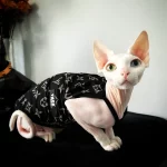 Black Classic LV Camisole Tank Top for Sphynx