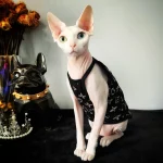 Black Classic LV Camisole Tank Top for Sphynx