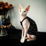 Black Classic LV Camisole Tank Top for Sphynx