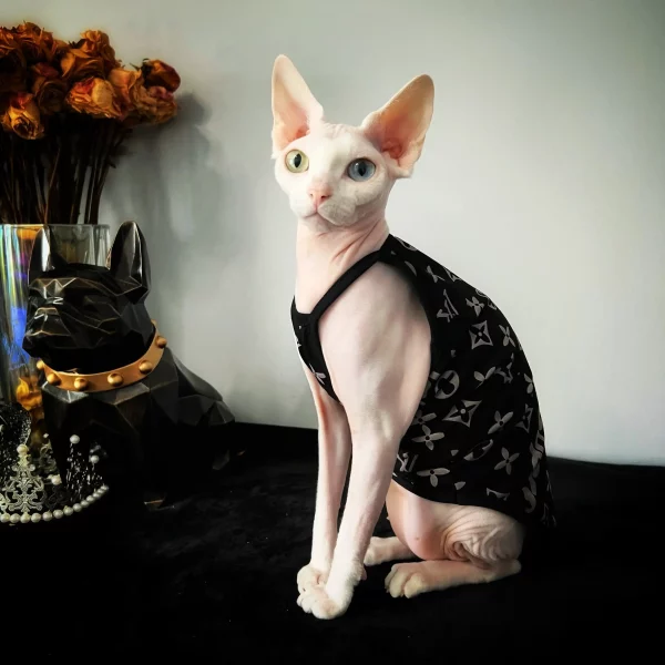 Louis Vuitton Cat Shirt Get - Yeswarmg sphynx clothes