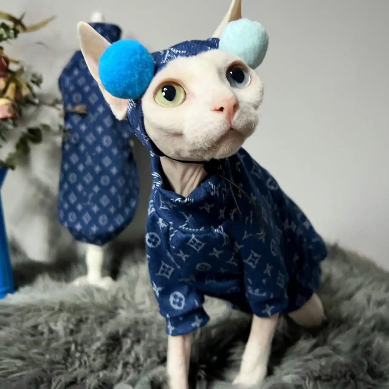 Sphynx Cat Clothes Louis Vuitton