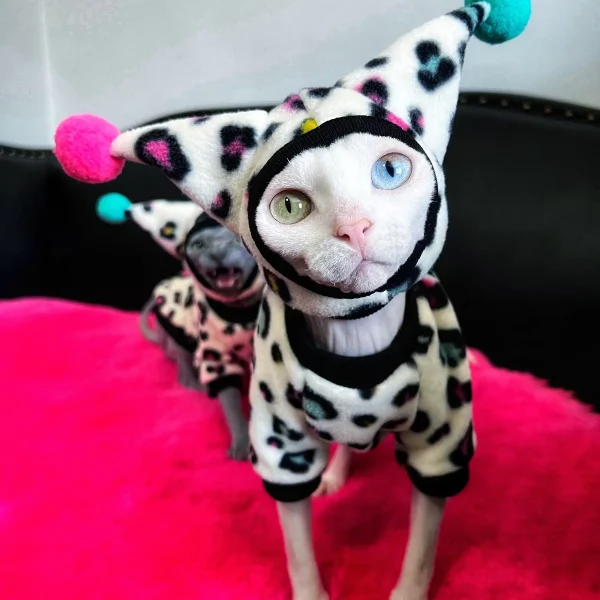 Leopard Costumes for Sphynx