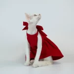 Red Dress with Bow for Hairless Cats