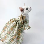 Rustic Bow Knot Backless Dress for Sphynx