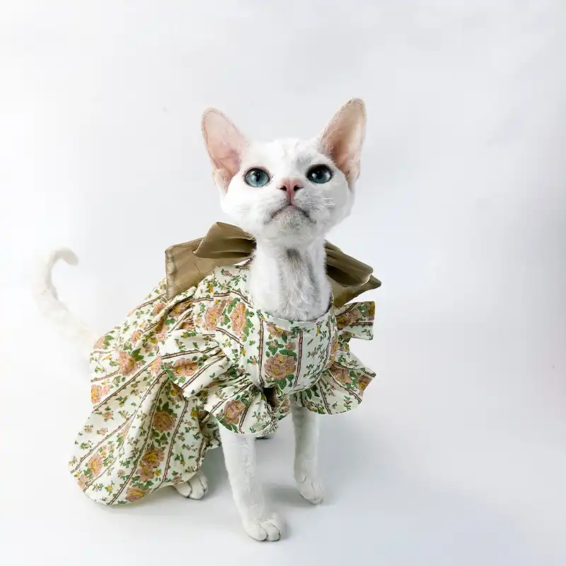 Rustic Bow Knot Backless Dress for Sphynx