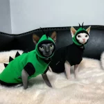 Sphynx Green Dinosaur Costume with a Cap