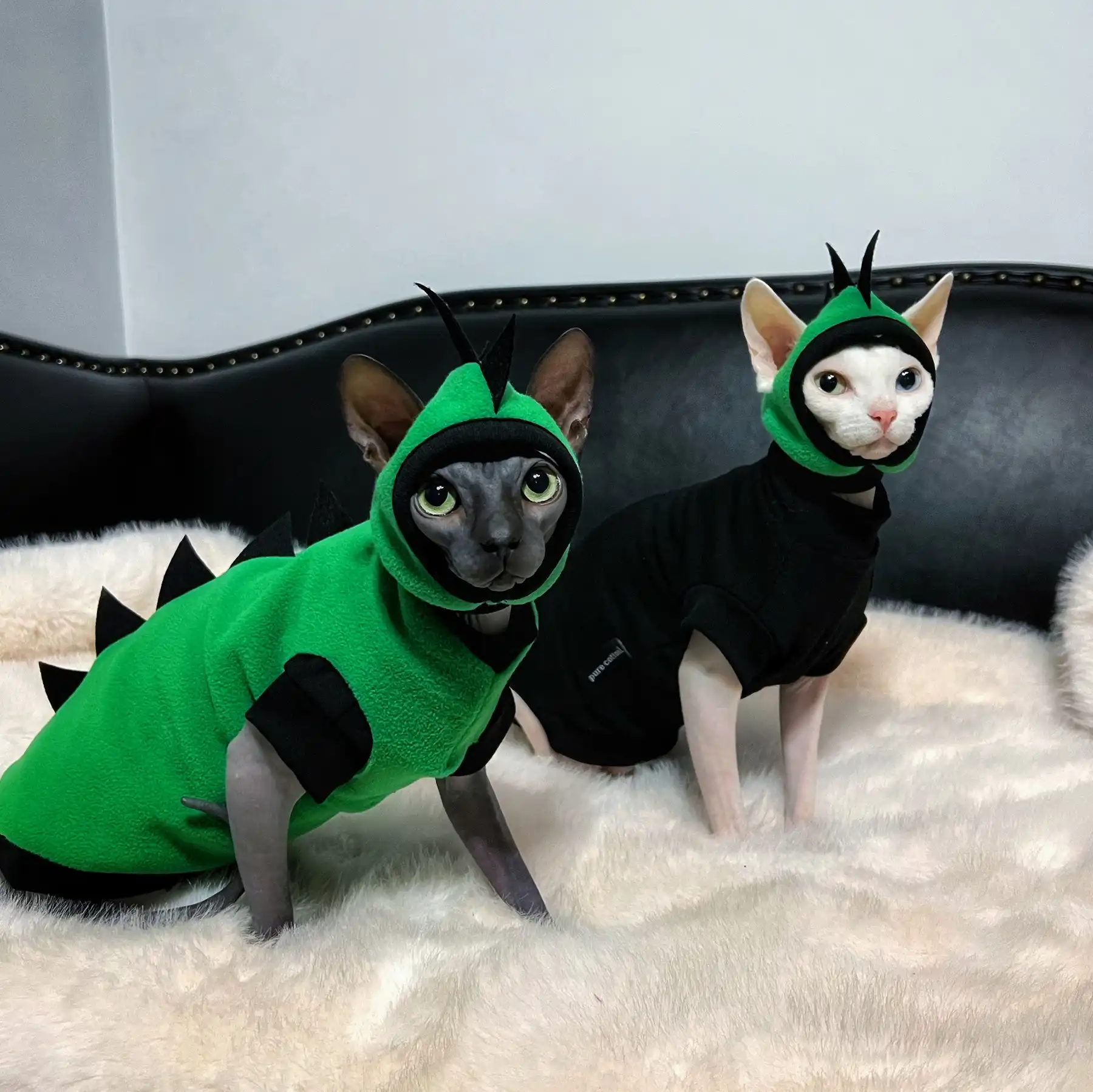 Cat dinosaur costume hotsell