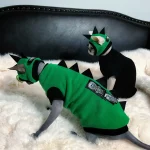 Sphynx Green Dinosaur Costume with a Cap