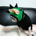 Sphynx Green Dinosaur Costume with a Cap