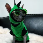 Sphynx Green Dinosaur Costume with a Cap