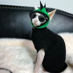 Sphynx Green Dinosaur Costume with a Cap