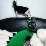 Sphynx Green Dinosaur Costume with a Cap