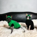 Sphynx Green Dinosaur Costume with a Cap