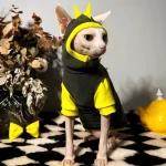 Yellow Dinosaur Costume Set for Sphynx